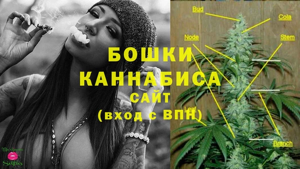 дурь Бронницы