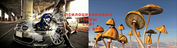 дурь Бронницы