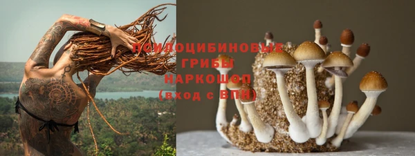 мяу мяу кристалл Бородино