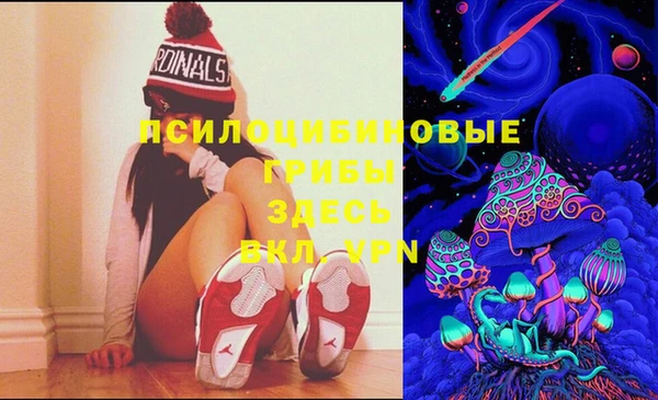 мяу мяу кристалл Бородино