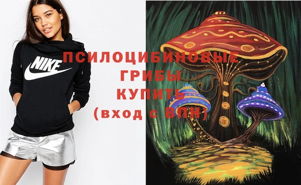 прущая мука Бугульма
