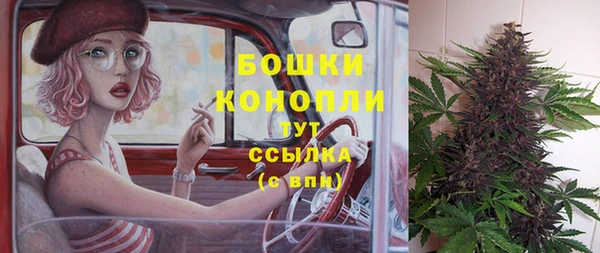 дурь Бронницы