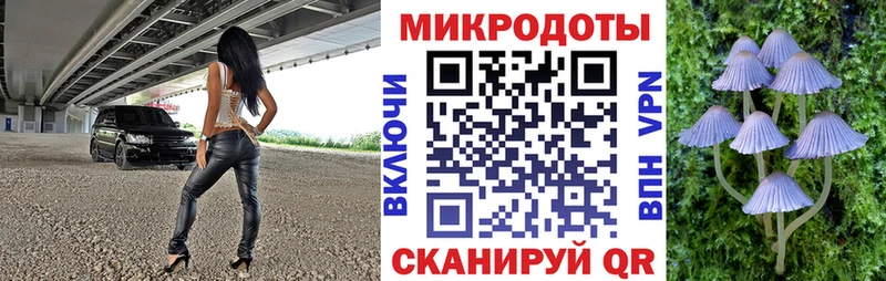 Псилоцибиновые грибы мицелий Купить закладки Болотное