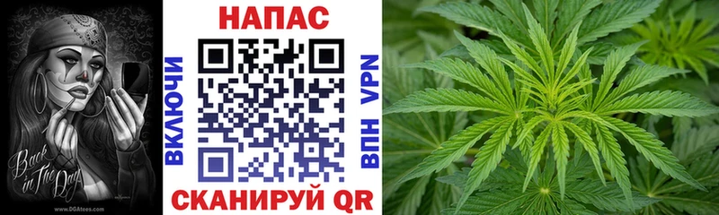 МАРИХУАНА гибрид  Купить  Болотное 